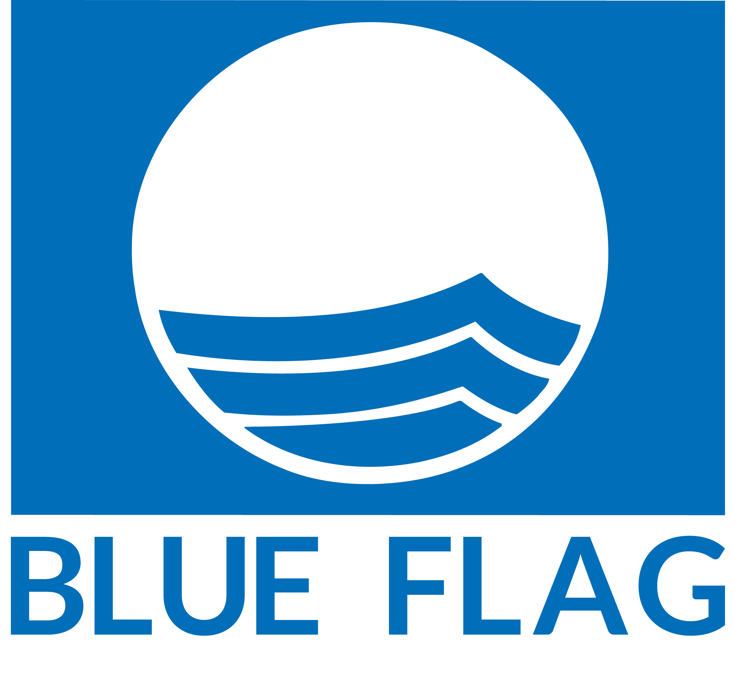 Blue Flag Award